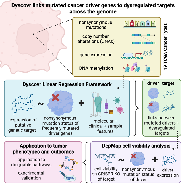 Dyscovr overview